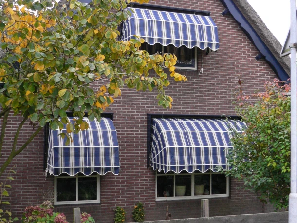 Markies blauw wit strepen